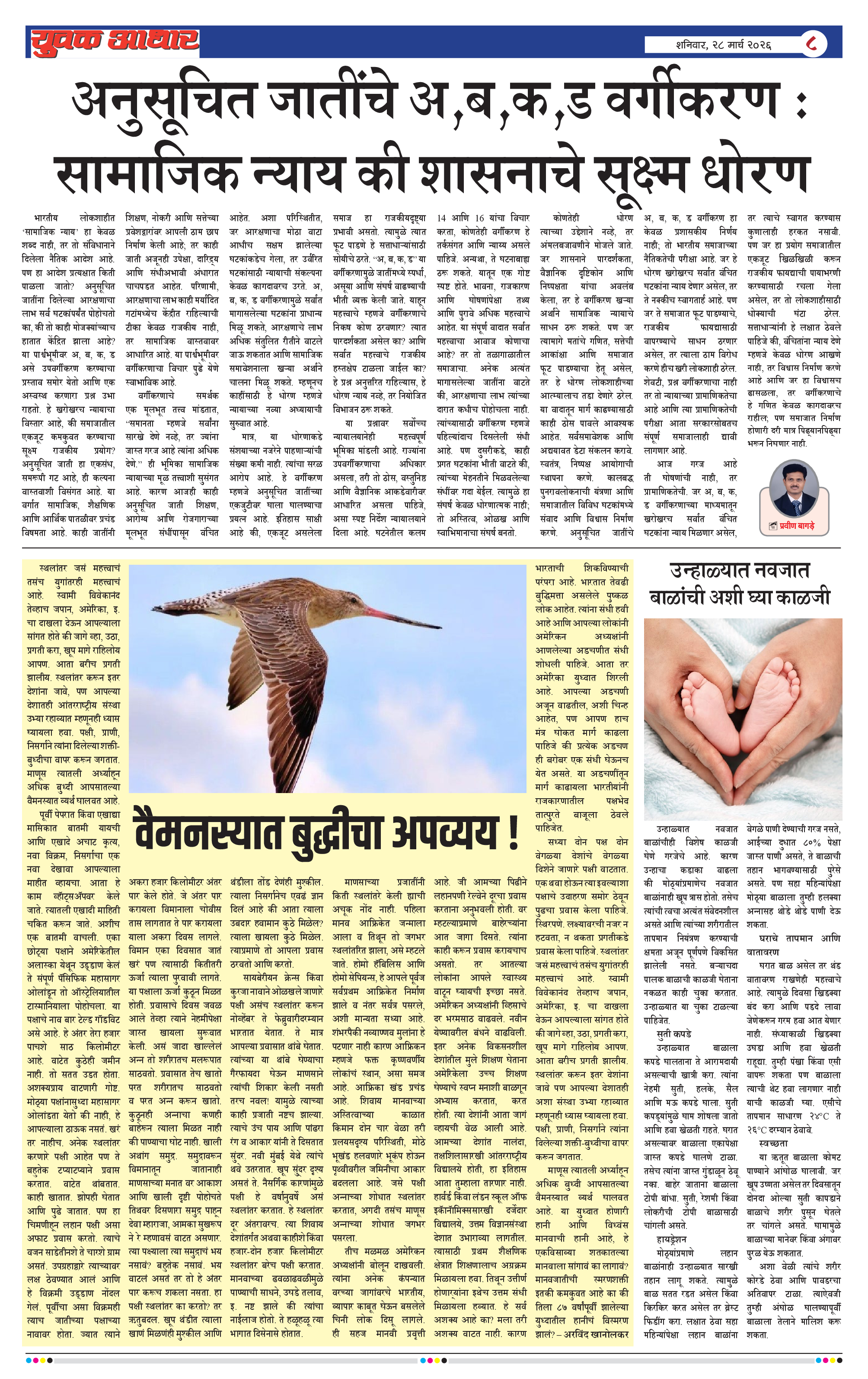 ePaper Page 8