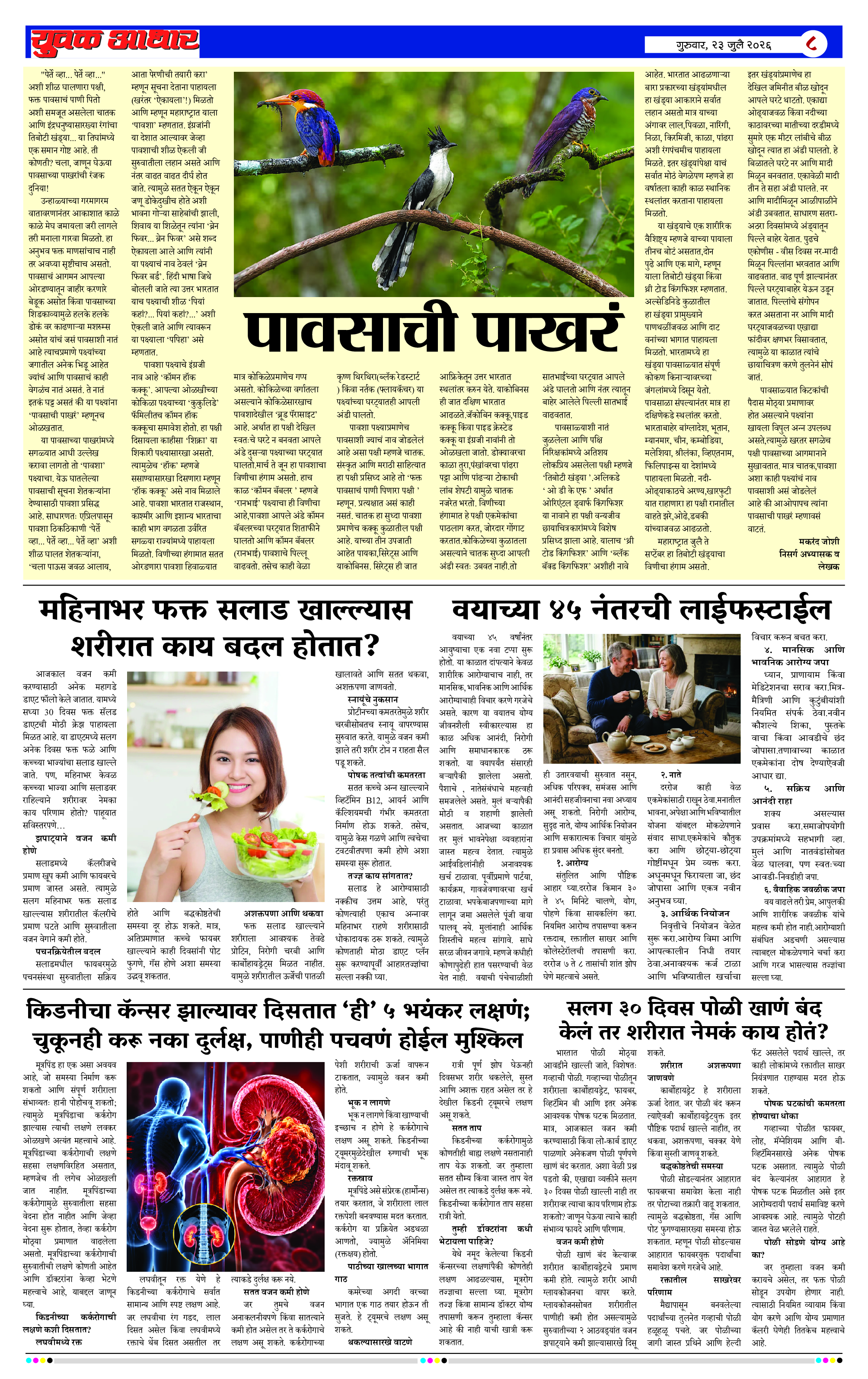 ePaper Page 8